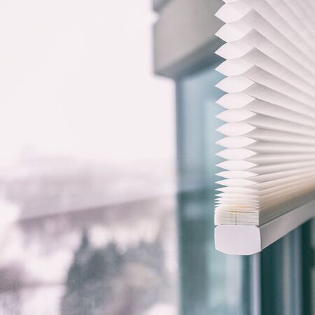 Fenster